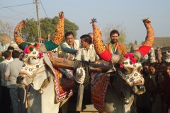 DSC00638.JPG